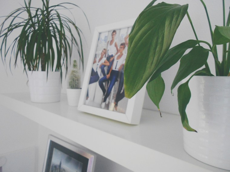 Processed with VSCOcam with hb1 preset